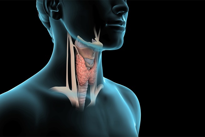 Thyroidectomy